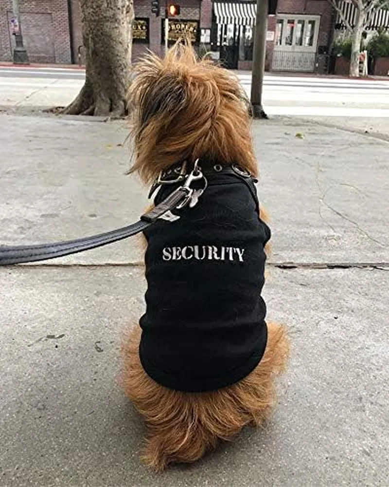 Dog Cat Security Tee Shirt Embroidered T-Shirt, XXS