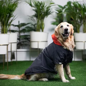 PoochMate Two Toned Rain Coat - Charcoal & Scarlet