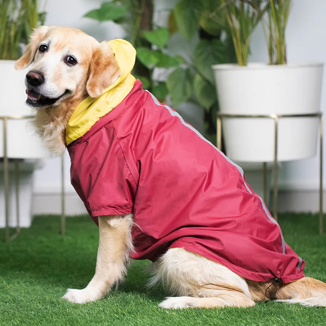 PoochMate Two Toned Rain Coat - Plum & Yellow